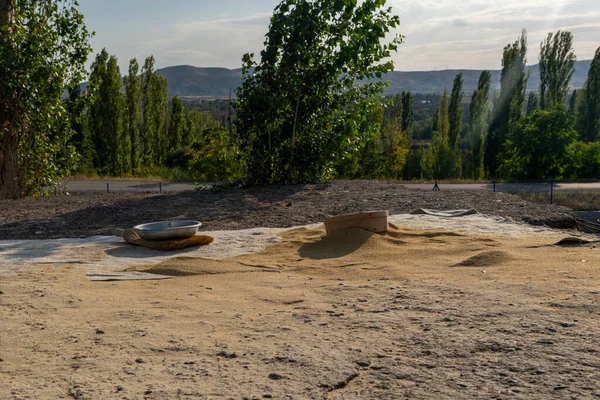 Preparing bulgur on ground. Ankara, Turkey.