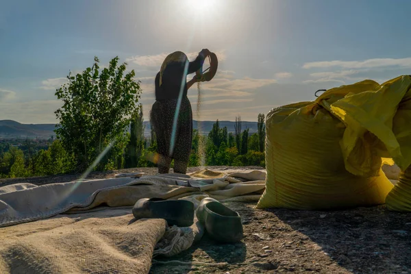 Köylü kadın güneşin altında bulgur hazırlıyor. Ankara, Türkiye.