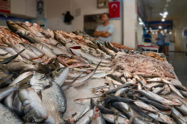Fresh fish market  with blurred seller man, Turkey