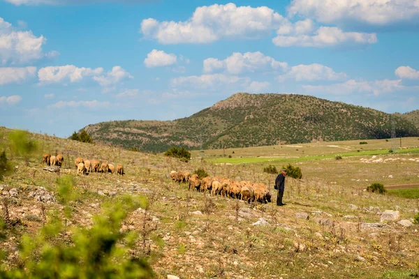 Abuda Afyonkarahisar Turkey May 2021 Old Bairing Shirw — 스톡 사진