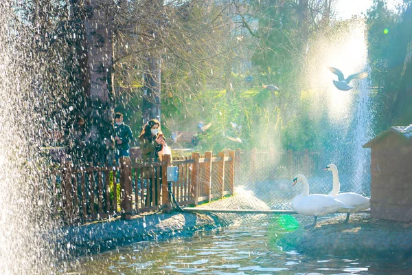 앙카라 투르네 2021 지역에서 인기있는 장소인 공원에서 즐겁게 사진을 사람들 — 스톡 사진
