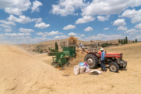 Ancara Turquia Agosto 2020 Feno Tradicional Com Debulhadora — Fotografia de Stock