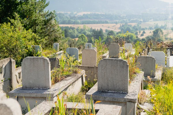 Landbegraafplaats Met Groene Planten Turkije Bij Zonsondergang — Stockfoto