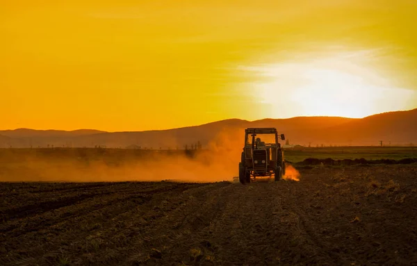 Golden colored dust from a tractor working in the field at sunset and hills in background,  central Turkey