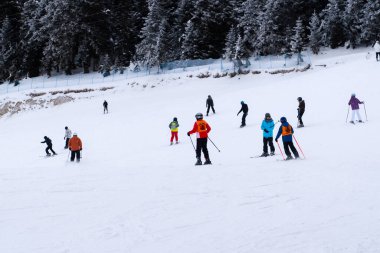 Ilgaz / Türkiye - 19 Ocak 2020: Kışın Google 'da kayak yapan mutlu kadın direkleri tutuyor