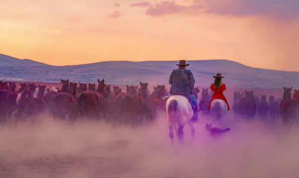 Baksidan Västra Cowboy Ridning Hästar Med Hund Damm Kvällen — Stockfoto