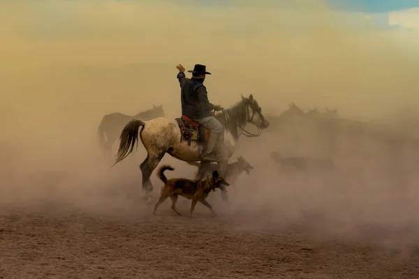 Batılı kovboy, gün batımında toz bulutunda köpekle ata biniyor.