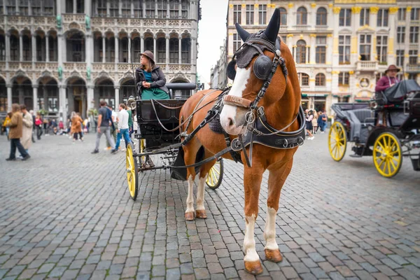 Bruksela Belgia Października 2019 Wózki Konne Czekające Turystów Podróżujących Centralnym — Zdjęcie stockowe
