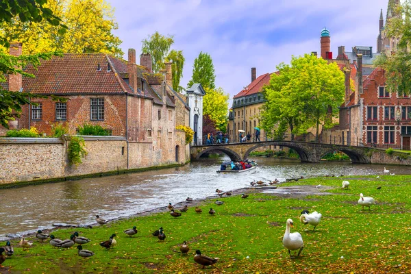 Bruges Belgium October 2019 Stone Bridge Lake Love Panoramic View — Stock Photo, Image