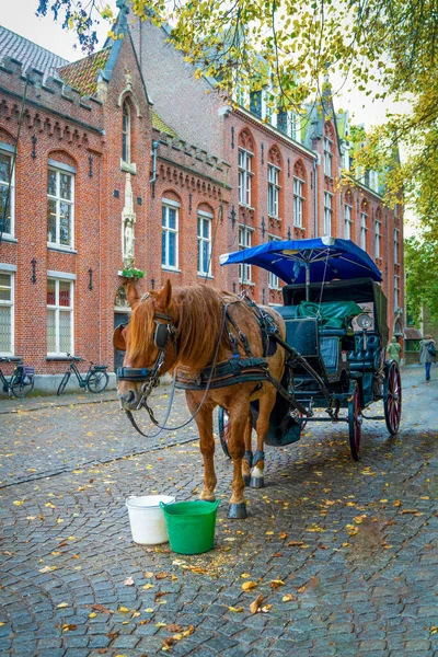 比利时布鲁日大街上等候的马车 — 图库照片