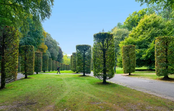 Zahradní Ulice Ossegempark Belgii — Stock fotografie