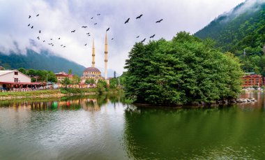 Türkiye 'nin Trabzon kentindeki bir turizm merkezi olan Uzungol' un panoramik manzarası. Leylek kuşlu Uzungol.