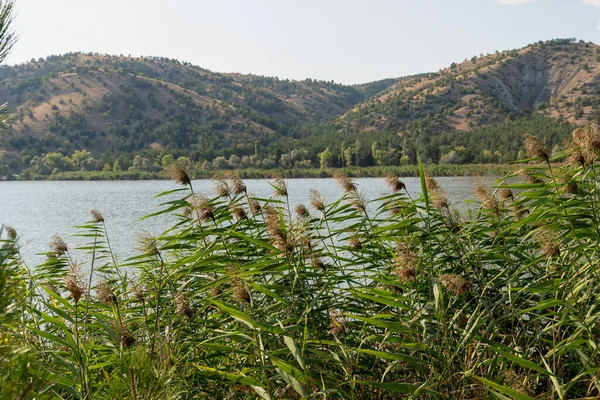 Lake Eymir Ancara Turquia — Fotografia de Stock