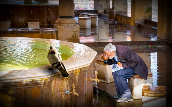 Kastamounu トルコ 8月04 2019 そして老人は噴水から水を飲みますナスルールモスクのすぐ外に鳩が座っています — ストック写真