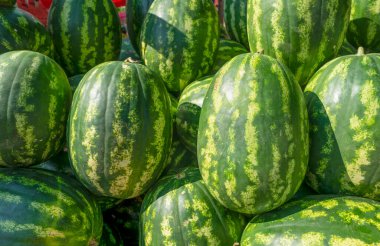Marketin tezgahında yeşil çizgili derili olgun karpuzlar..