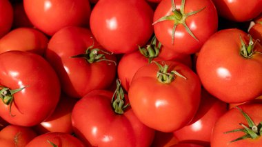 Lezzetli kırmızı domates. Yaz tepsi Pazar tarım çiftlik tam organik sebze arka plan olarak kullanılabilir. (seçici odak)