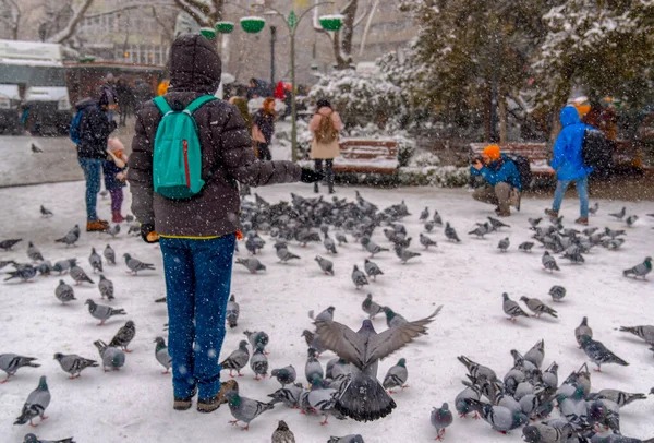 Анкара Турция Декабря 2018 Года Люди Кормят Голубей Фотографируют Голубей — стоковое фото