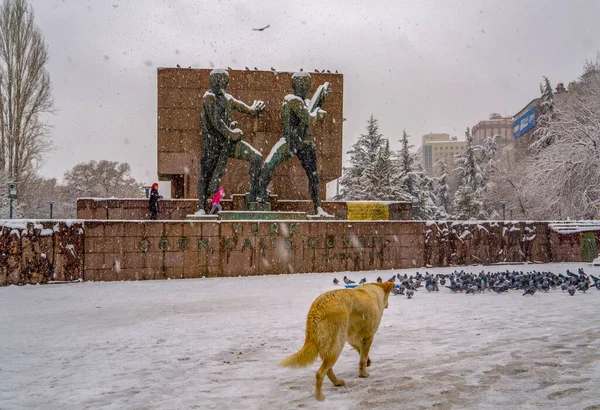 Ankara Turchia Dicembre 2019 Statua Piccioni Cane Nel Parco Guven — Foto Stock