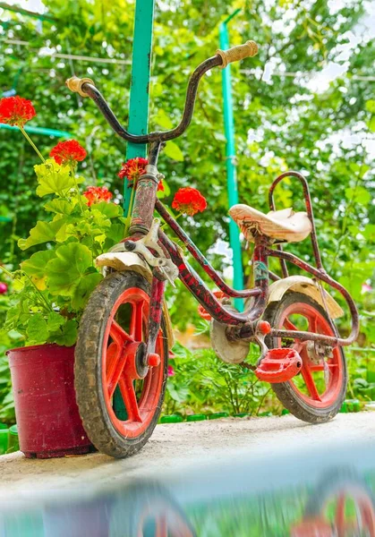 Vélo Enfant Rouillé Dans Jardin Avec Des Fleurs Rouges Près — Photo