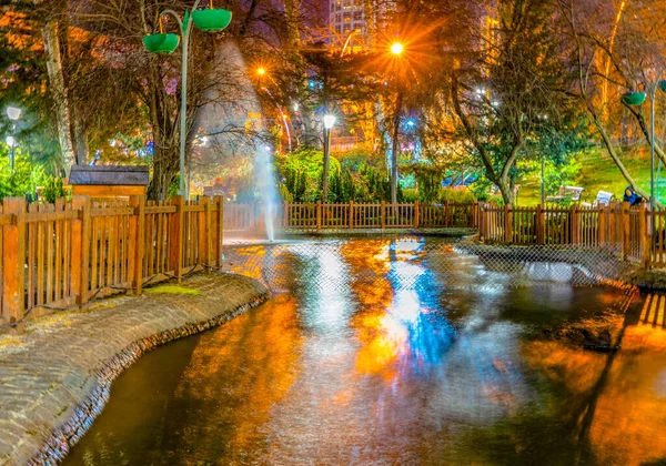 Reflet Dans Étang Dans Parc Kugulu Ankara Turquie — Photo