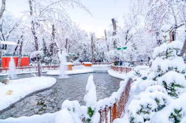 Ankara, Türkiye - 26 Aralık 2018: Kugulu Parkı günün tadını çıkarmak için popüler bir yer. Kugulu Parkı kışın kar altında.