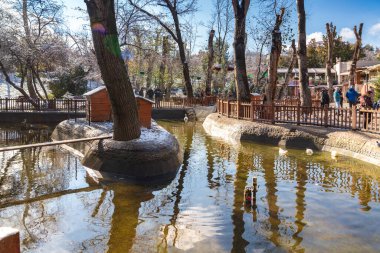 Ankara, Türkiye - 13 Aralık 2018: Kugulu Parkı günün keyfini çıkarıp kuşları beslemek için popüler bir yer.