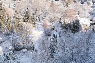 Ankara / Türkiye-13 Aralık 2018 - Kışın Botanik Bahçesi ve kar altında ağaçlar.