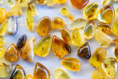 Beyaz arka planda farklı kehribar parçaları, renkler, şekiller ve yapısı. Şeffaf ve mat kehribar parçaları..