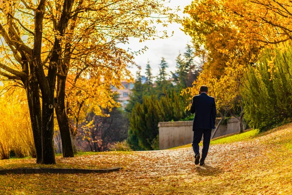 Man walking on the road (path, pathway, walkway) under trees in autumn in the garden of TBMM