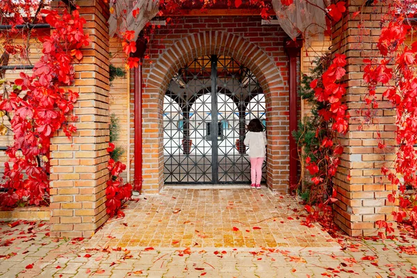 Young girl looking inside from decorative arched iron gateway through brick door to a garden with decorated maiden grapes (virginia creeper) in fall