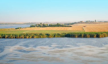 Mogan Gölü yakınlarındaki saman hasadı, Ankara, Türkiye