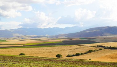 Mavi gökyüzü ve bulutlu güzel sarı-yeşil tarlaların panoramik arka planı - Kahramanmaras, Türkiye 'de güneşli bir gün