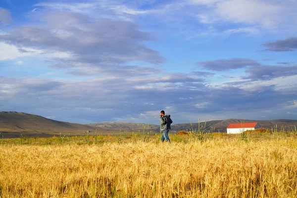 土耳其黄色麦田里的人概念设计 农业领域 — 图库照片