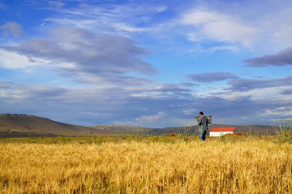 Homem Prado Trigo Amarelo Turquia Design Conceitual Cena Agrícola — Fotografia de Stock