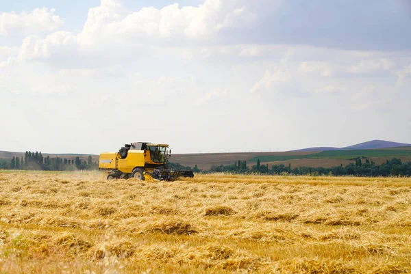 Obří Žlutý Sklízeč Pšenice Kombinuje Stroj Zlatých Pšeničných Polích Létě — Stock fotografie