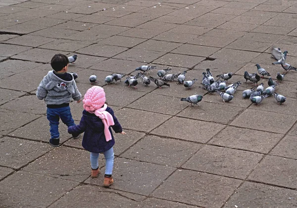 Kimliği belirsiz bir çocukla kızın güvercinleri besleyip günün tadını çıkardıkları arka plan.