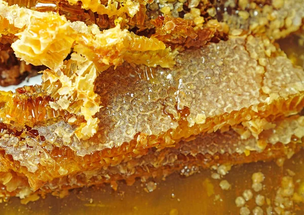 Delicious Honey Hexagonal Honeycomb Background — Stock Photo, Image