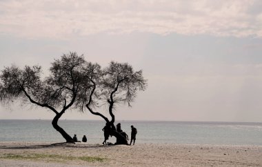 Gün batımında sahilde ağaçların altında sohbet eden insanların silueti.