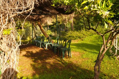 Açık hava aktiviteleri ve ağaçların altındaki sandalyeler için.