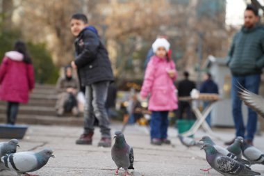 Ankara / Türkiye-3 Mart 2018: Çocuklar güvercinleri besliyor ve Ankara şehir merkezi Kizilay 'de günün tadını çıkarıyor