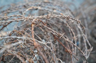 Bir rulo paslı dikenli teli kapat
