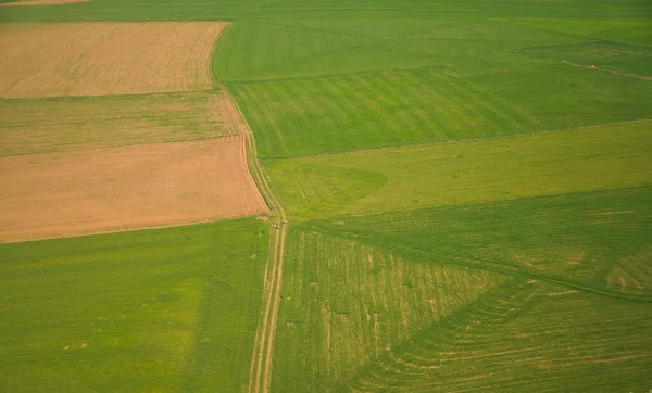 Luchtfoto Van Mensen Met Tassen Die Weg Tussen Velden Rusten — Stockfoto