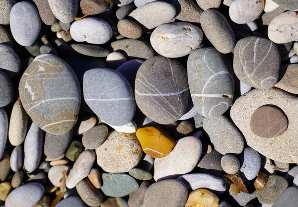 Ciottoli Levigati Sulla Spiaggia Riva Mare — Foto Stock