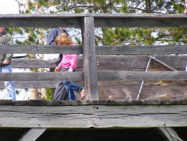 Bambina Non Identificata Cammina Sul Vecchio Ponte Legno Sotto Supervisione — Foto Stock