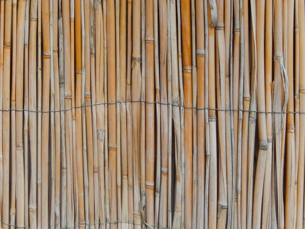 Rietsuikerriet Muur Textuur — Stockfoto