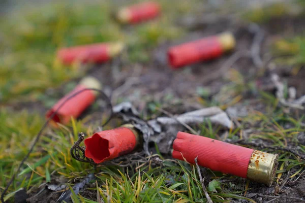 緑の芝生の上でいくつかの狩猟弾を背景に — ストック写真