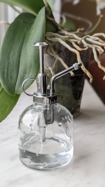 Orkide kökleri dolu korkunç bir tencerenin yanındaki cam su dağıtıcısına yakın çekim. Orkide çiçekleri için uygun bakım kavramı.