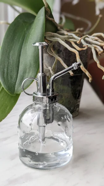 Orkide kökleri dolu korkunç bir tencerenin yanındaki cam su dağıtıcısına yakın çekim. Orkide çiçekleri için uygun bakım kavramı.