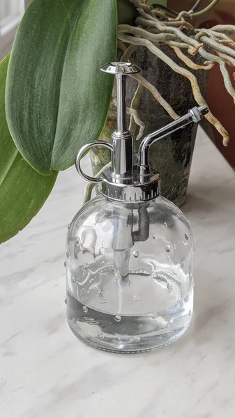 Orkide kökleri dolu korkunç bir tencerenin yanındaki cam su dağıtıcısına yakın çekim. Orkide çiçekleri için uygun bakım kavramı.