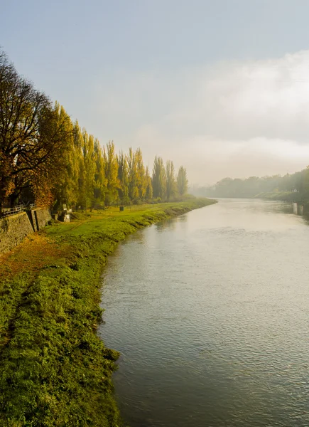 Río bastante diverso — Foto de Stock